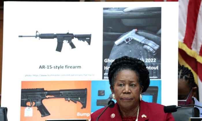 Rep. Lee Holds Press Conference After Judiciary Subcommittee Hearing on Gun Control