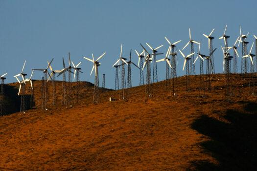Antrim Wind's owners are not commenting on local residents' complaints about noise levels from their 1,700 acre New Hampshire site. Pictured are giant wind turbines near Palm Springs, California, in 2008. (David McNew/Getty Images)