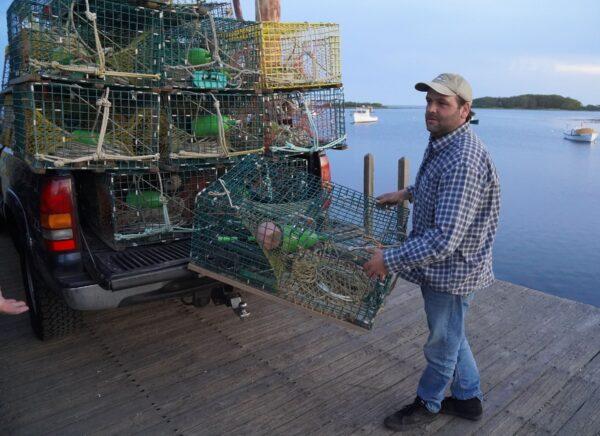 Lobsterman Tucker Soule unloads a trap at Cape Porpoise near Kennebunkport, Maine, on May 23, 2022. (Steven Kovac/The Epoch Times)