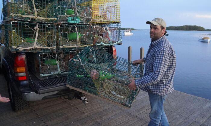 Maine Lobstermen Square Off With Aquarium Over 'False Statements' Harming Sales