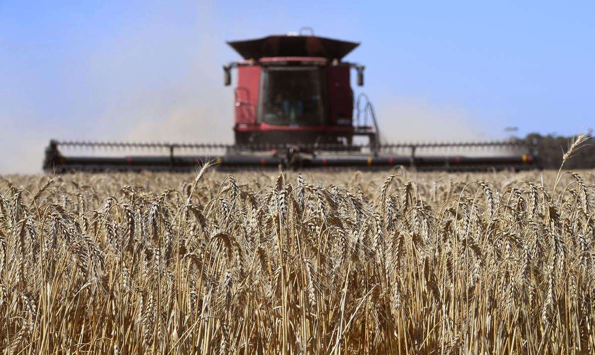 Australian Agriculture Production to Reach Record Highs in 2022-2023