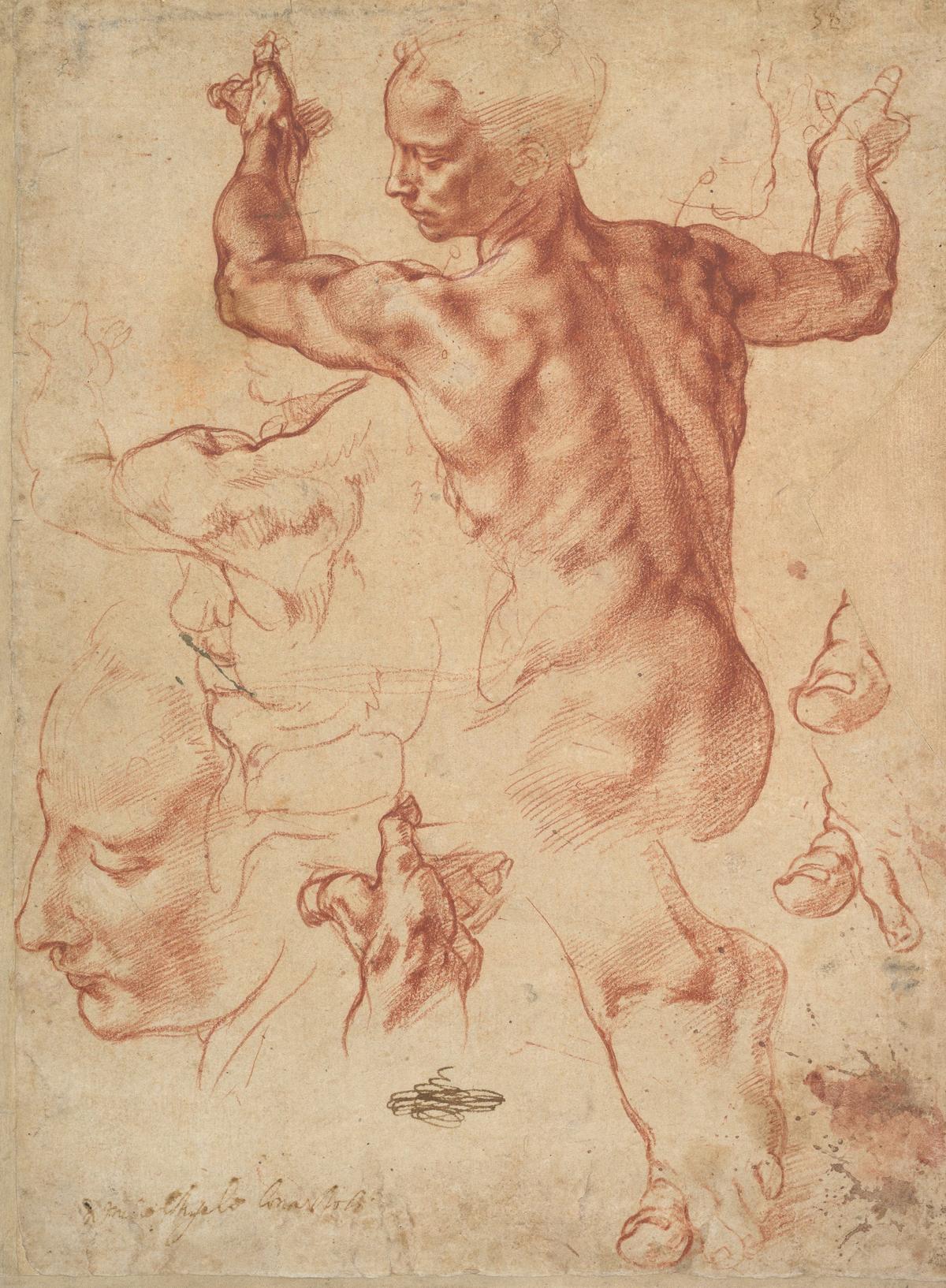  Studies for the Libyan Sibyl, between 1510-1511 by Michelangelo. Red chalk, white chalk and charcoal on paper; 11 3/8 inches by 8 7/16 inches. Metropolitan Museum of Art, New York City. (Public Domain)