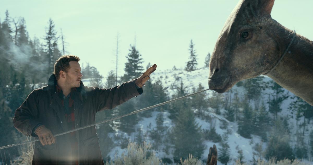 Chris Pratt as Owen Grady has lassoed himself a grass-grazing parasaurolophus in "Jurassic World: Dominion." (Amblin Entertainment/Universal Pictures)
