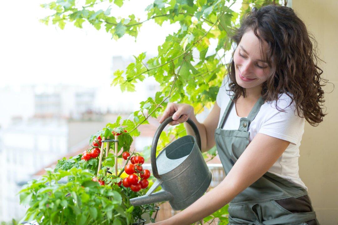 Create an Urban Garden in a Tiny Space