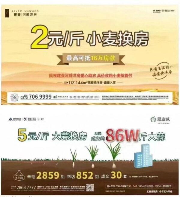 An advertisement from Central China Real Estate offering to let buyers use garlic crops to make a down payment on a property in June 2022. (Reuters/Screenshot via Reuters)