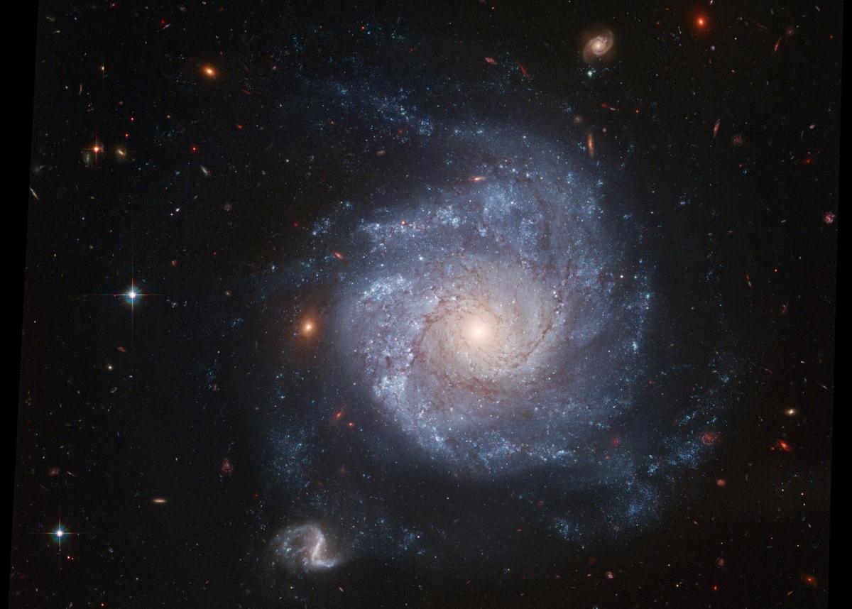 Meet the ‘Zombie Star’ That Survived a Supernova Blast