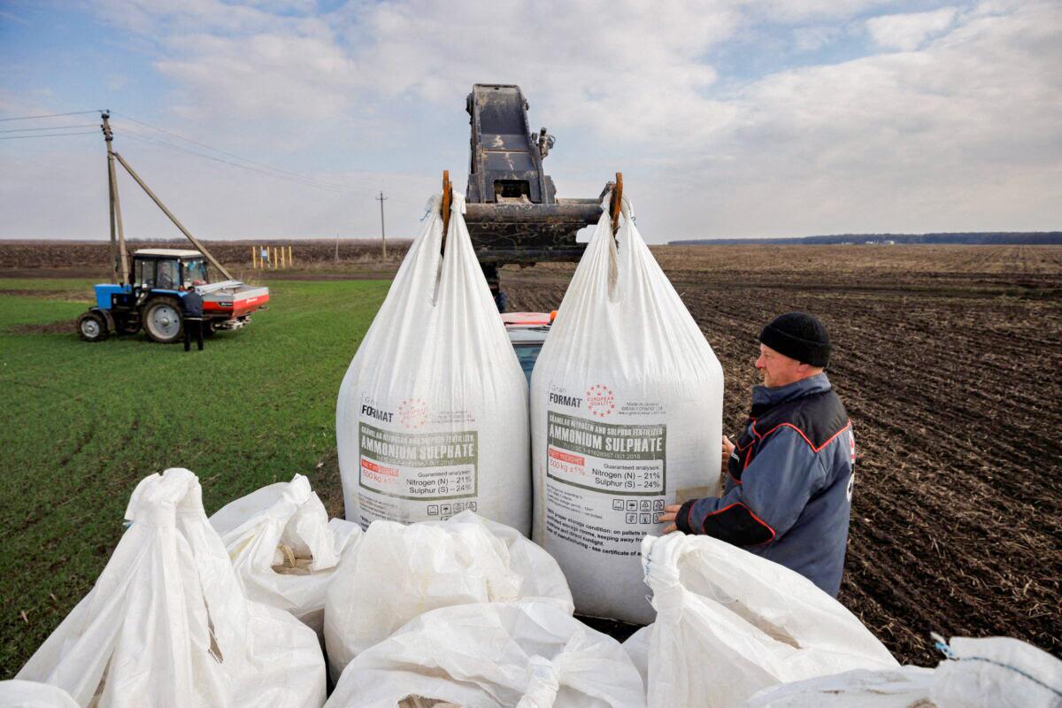 Fertilizer Costs Could Prolong Global Food Tensions: FAO