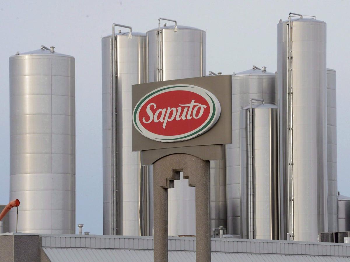 Canadian Dairy Sales Expected to Stay Strong Despite Potential Price Hike: Saputo