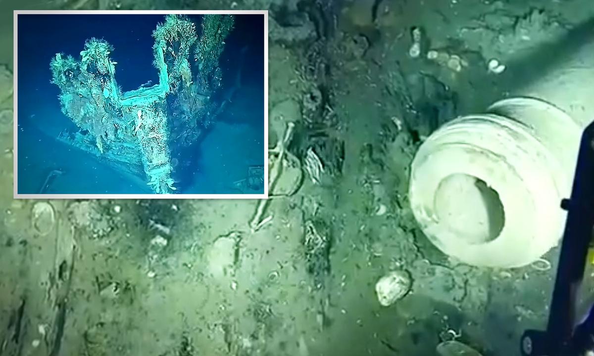 Ocean Vehicle Finds 200-Year-Old Shipwrecks, Gold Coins, Cannons 900m Under Caribbean; Could Be Worth Billions