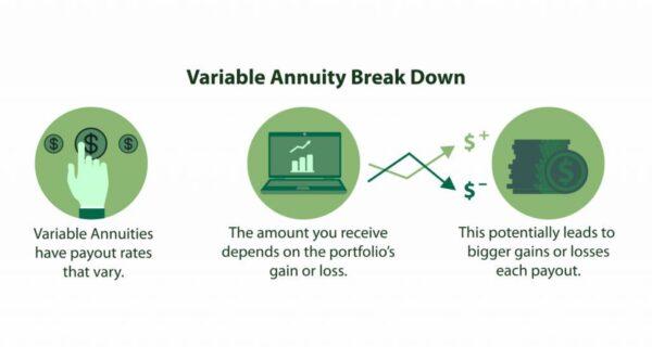 The break down of a variable annuity. (Due)
