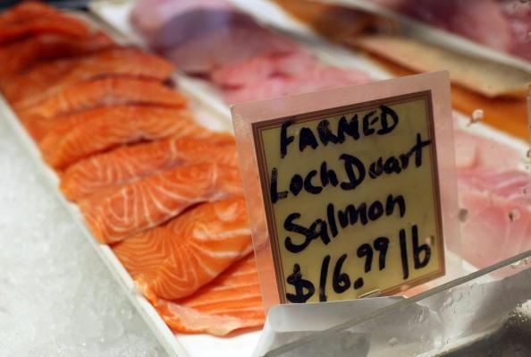 One significant nutritional difference is the fat content. Wild salmon contains about 5 to 7 percent fat, whereas the farmed variety can contain anywhere from 14.5 to 34 percent. (Justin Sullivan / Getty Images)
