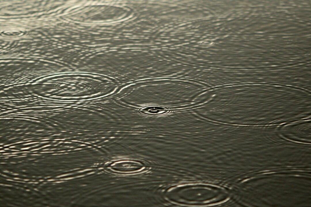 Large Part of Southern BC Under Flood Warnings, Watches as Storm Bears Down