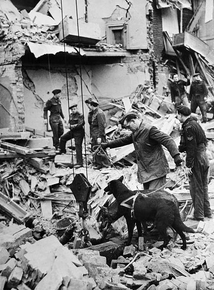 British soldiers with rescue dogs search for victims in a ruined building after an air raid on London during the Blitz in 1941. (AFP via Getty Images)