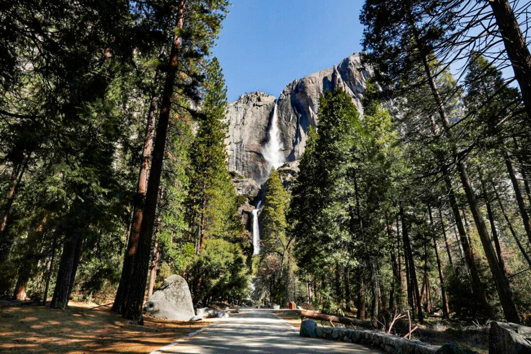 30 Sites in Yosemite National Park Vandalized With Graffiti