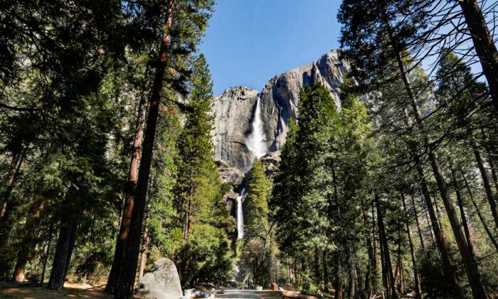 30 Sites in Yosemite National Park Vandalized With Graffiti