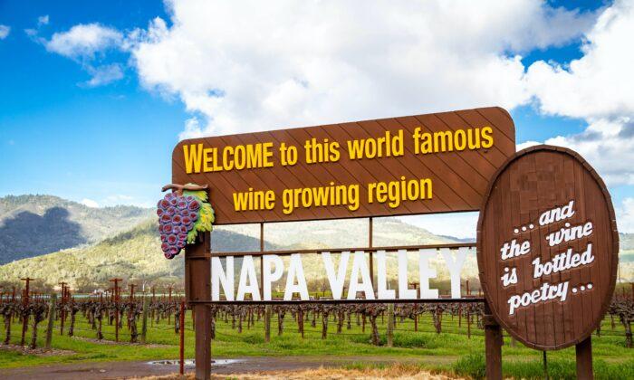 A Finer Focus on California Wine Regions