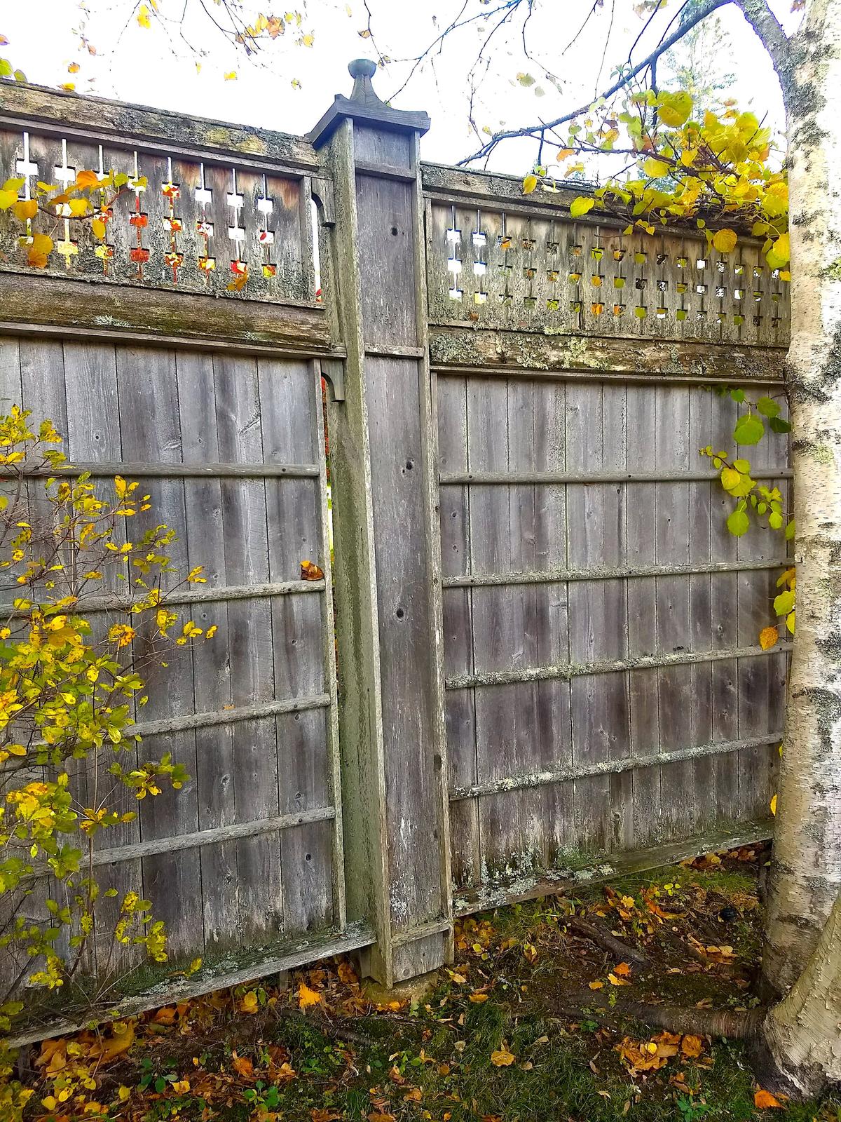 This weathered wood fencing looks hard to build, but you can do it with basic tools. (Tim Carter/TNS)