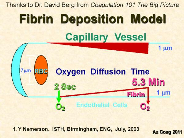 Fibrin Deposition Model.