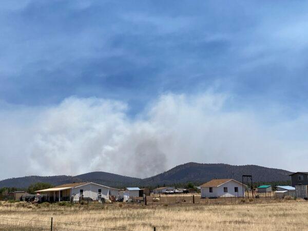 Efforts to battle the Pipeline Fire in Flagstaff, Ariz., on June 14 were hampered by high winds and dry ground conditions. (Allan Stein/The Epoch Times)