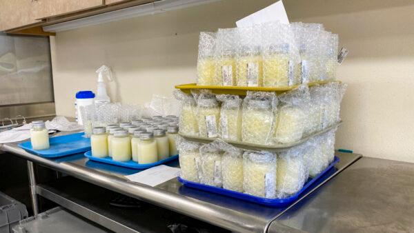  Bottles of milk wait to be shipped out at Mothers’ Milk Bank in San Jose, Calif., on June 8, 2022. (Ilene Eng/NTD Television)