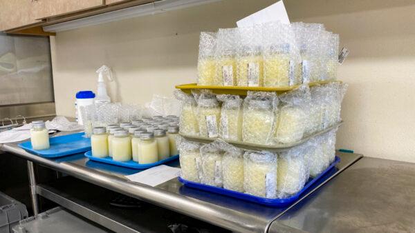 Bottles of milk wait to be shipped out at Mothers’ Milk Bank in San Jose, Calif., on June 8, 2022. (Ilene Eng/NTD Television)