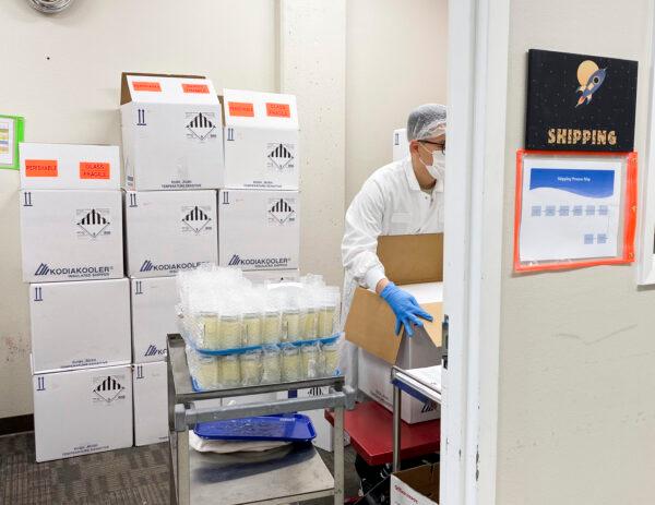 A worker packs milk bottles with dry ice to be shipped out at Mothers’ Milk Bank in San Jose, Calif., on June 8, 2022. (Ilene Eng/NTD Television)