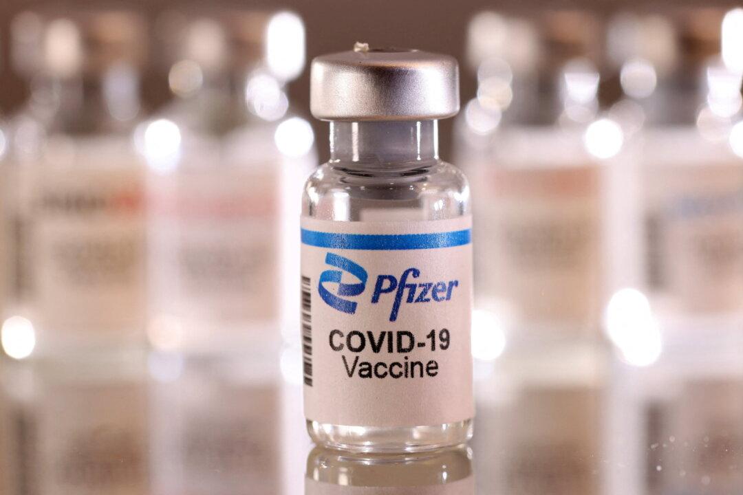 Pfizer Has Stopped Its COVID Vaccine Clinical Trial in Pregnant Women: Internal Email