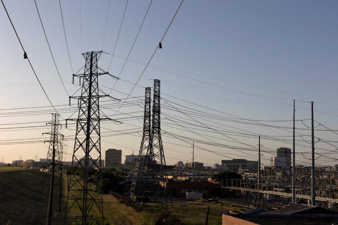 Texas Lawmaker Appeals for Elon Musk’s Help to Stabilize Power Grid