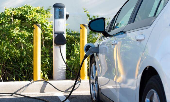 Profits, Not Environment, Are Driving EV Adoption in California and Oregon, Experts Claim