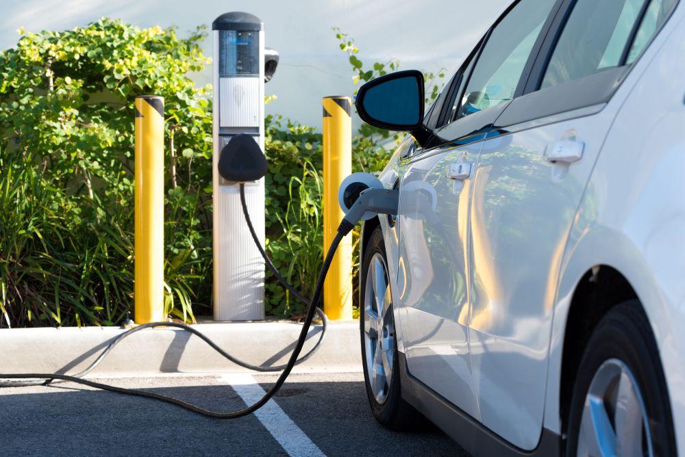 Profits, Not Environment, Are Driving EV Adoption in California and Oregon, Experts Claim