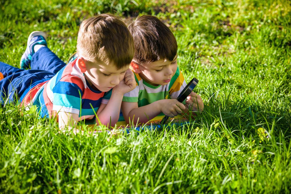 Let Brothers Work out Their Conflict