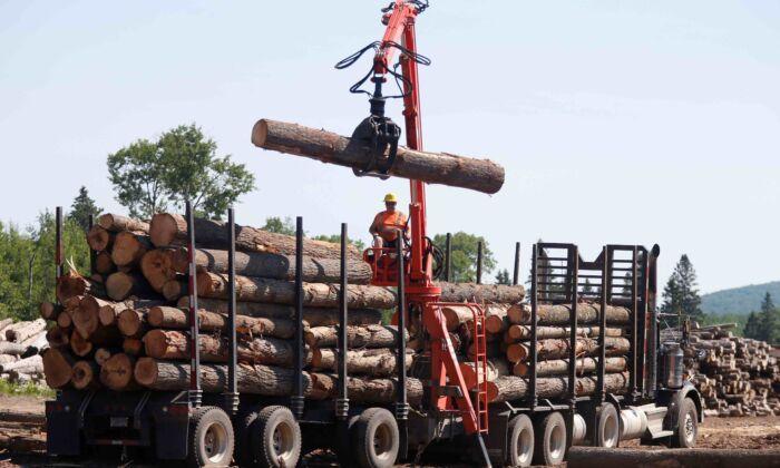 Yellen Says Biden Not Considering Canadian Lumber for Tariff Relief