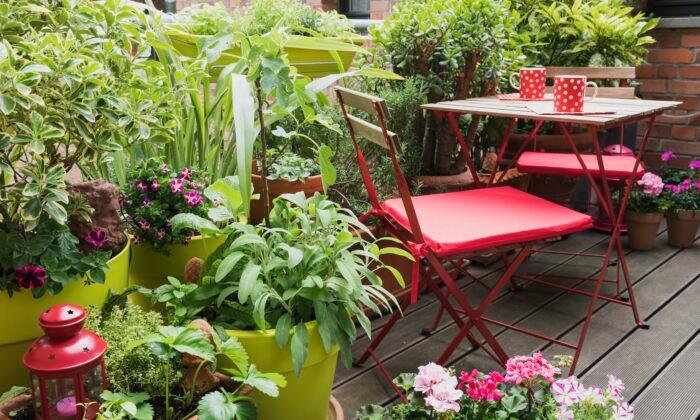 6 Simple Ways to Turn Your Balcony Into an Outdoor Oasis