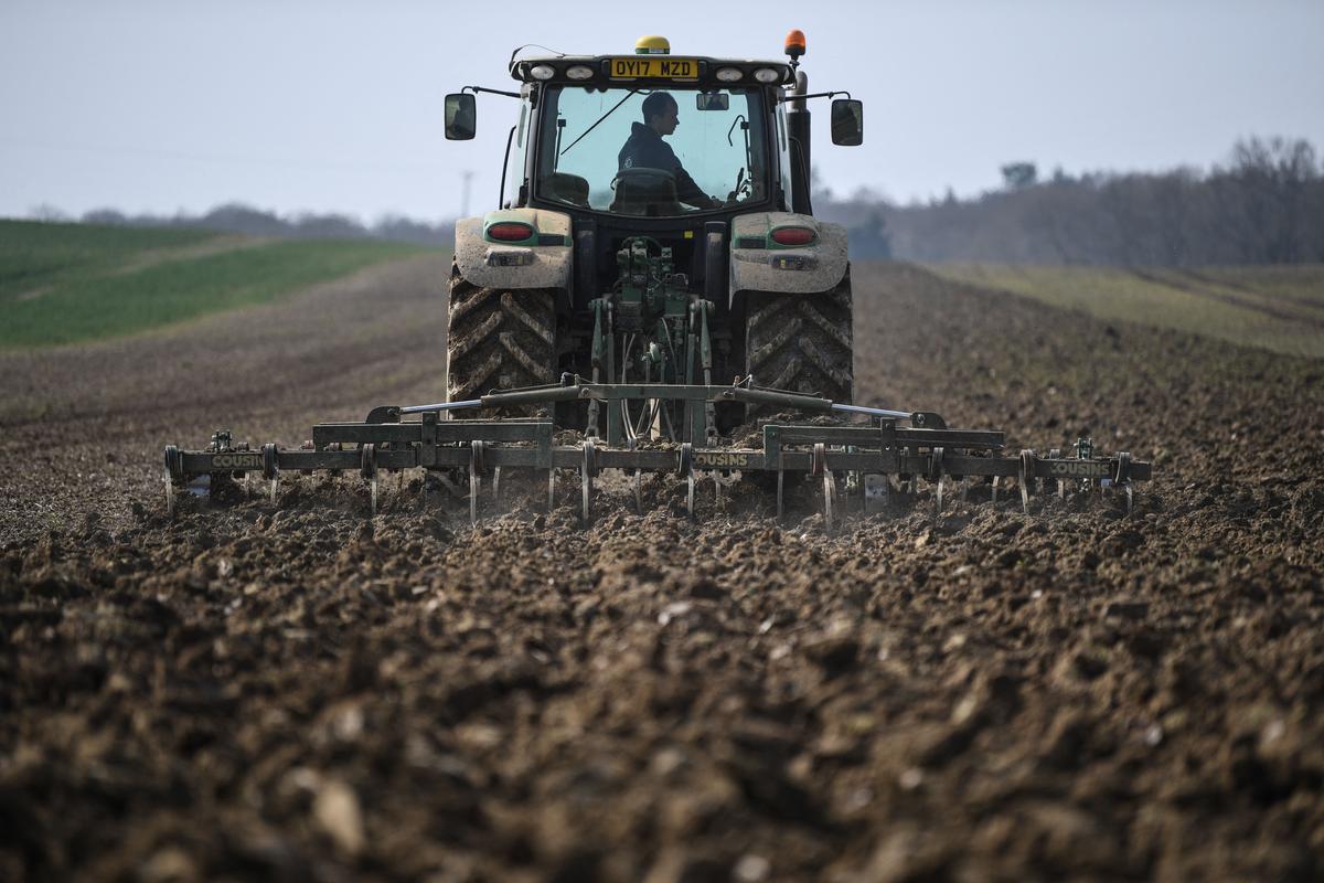 A tractor cultivates the ground for rapeseed oil crops at the Westons Farm, in Itchingfield, south England, on March 28, 2022. (Daniel Leal/AFP via Getty Images)
