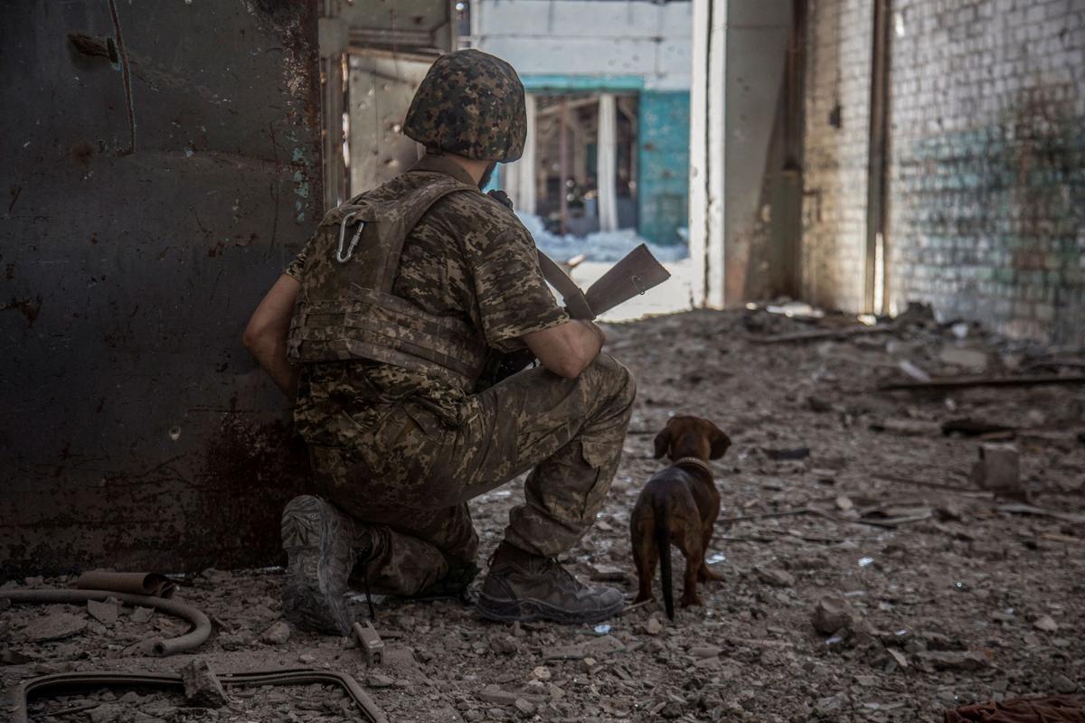 Ukraine Takes Tentative Step Towards EU Membership as Donbass Battles Reach 'Fearsome Climax'
