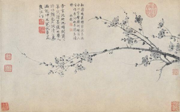 “Ink Plum” by Wang Mian. Handscroll: Ink on paper; 12.6 inches by 20 inches. (The Palace Museum, Beijing)