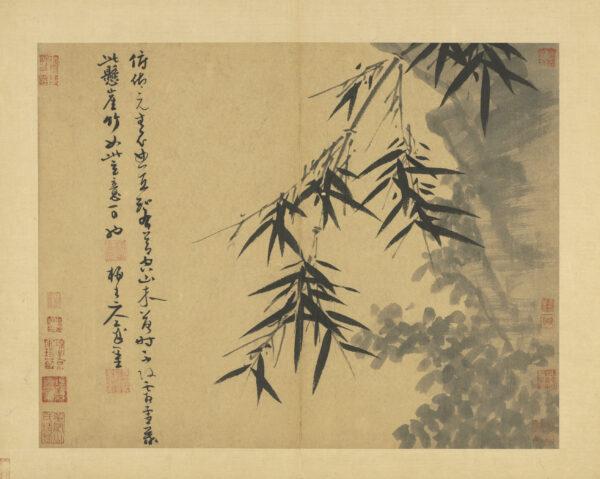 “Manual of Ink Bamboo, Bamboo Hanging From a Precipice,” 1350, by Wu Zhen. Album leaf: Ink on paper; 18.9 inches by 20.5 inches. (National Palace Museum, Taipei)