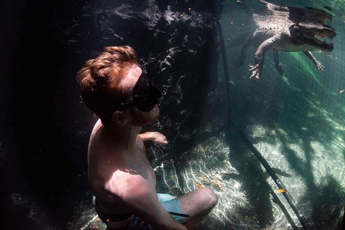 Andrew Ferguson, 21, from Arizona, sits behind a net to watch Casper the alligator swim during an Underwater Gator Tour at the Everglades Outpost. (Alie Skowronski/Miami Herald/TNS)