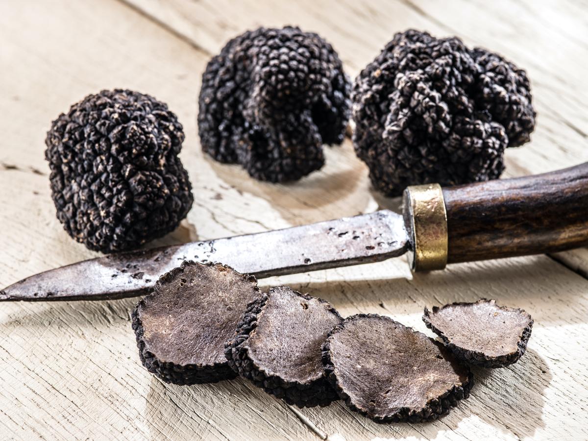 What Are Truffles?