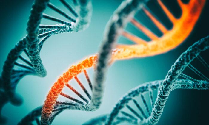 You Can Switch ‘Off’ Your Cancer Genes—Here’s How