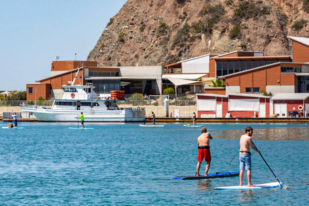 Navy Training Torpedo Found Off Dana Point Shore