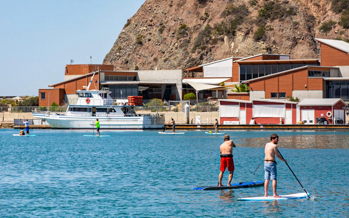 Navy Training Torpedo Found Off Dana Point Shore