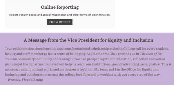 A screenshot from the Smith College website shows a message about equity and inclusion. (Screenshot/smith.edu)