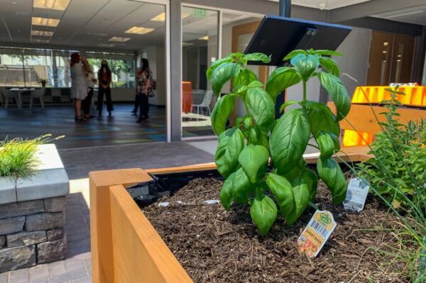 The Easterseals Pyott Center in Santa Ana, Calif., on June 28, 2022. (John Fredricks/The Epoch Times)