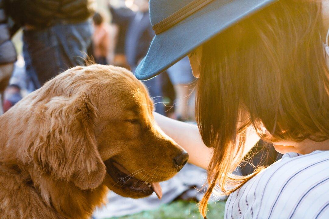Your Nose Knows: New Science Suggests Scents Matter to Humans as Much as to Dogs
