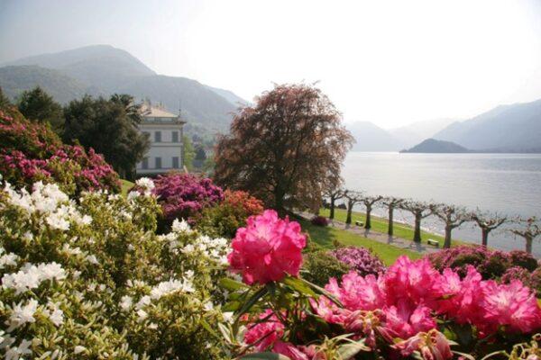A palette of colorful flowers adorn the garden. Pink rhododendrons and white azaleas are on show here in the foreground. The promenade lined with plane trees line the water's edge of Lake Como.  (MT–Afb/Giardini di Villa Melzi)