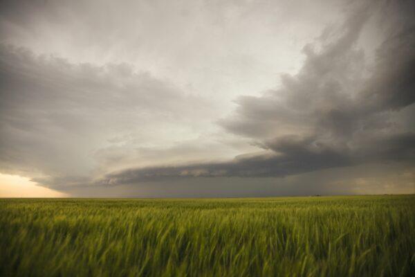 Storm clouds rolling in over the American prairie. (National Geographic for Disney+)