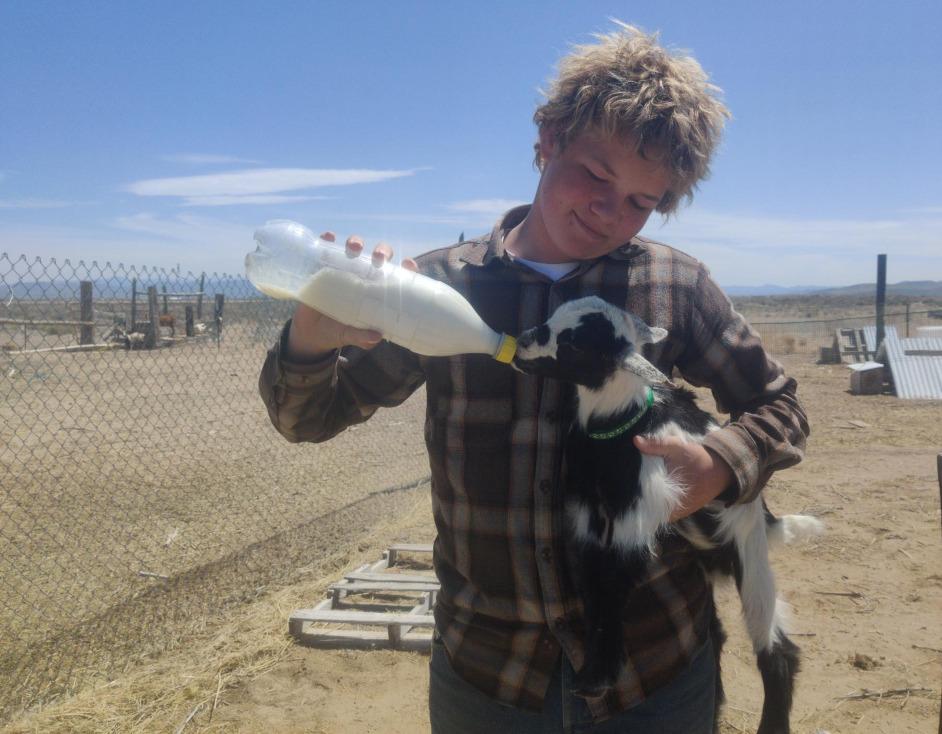 Cole Summers with baby goat, Chester. (Courtesy of <a href="https://www.facebook.com/HomeschoolMBA">Tina Cooper</a>)