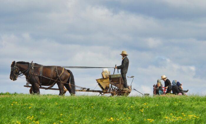 6 Things I’ve Learned From the Amish