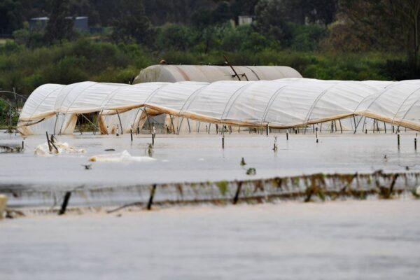 A flooded vegetable farm from the overflowing Nepean River is seen following torrential rain in western Sydney, Australia on July 5, 2022. (Saeed Khan/AFP via Getty Images)